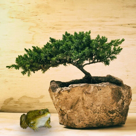 Relaxdays Rana Da Giardino Decorativa, Resistente Alle Intemperie, Per Esterno, Pietra Artificiale, Verde 5 Relaxdays Rana Da Giardino Decorativa, Resistente Alle Intemperie, Per Esterno, Pietra Artificiale, Verde - immagine 5