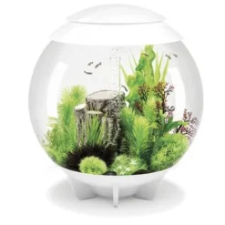 Oase Acquario Luminoso Biorb Halo 60 Litri Colore Bianco Con Luci A Led Bianchi -OUTSUN Giardino Negozio 17944834 3