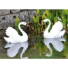 Cigno Cignotto Galleggiante Ornamentale In Plastica Resina Decorazione Giardino
