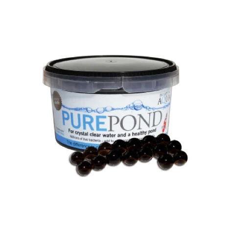 BATTERI ENZIMI FILTRO BIOLOGICO LAGHETTO STAGNO EVOLUTION AQUA PURE POND 500 ML 1 BATTERI ENZIMI FILTRO BIOLOGICO LAGHETTO STAGNO EVOLUTION AQUA PURE POND 500 ML