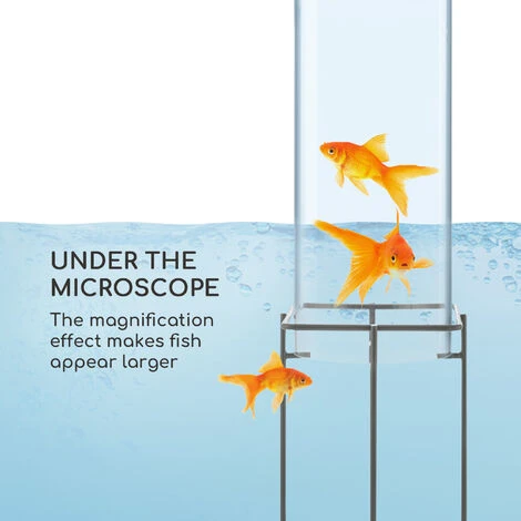 Blumfeldt Skydive 60 Torre Per Pesci 60 Cm Ø 20 Cm Acrilico Metallo Trasparente 3 Blumfeldt Skydive 60 Torre Per Pesci 60 Cm Ø 20 Cm Acrilico Metallo Trasparente - immagine 3