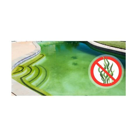 Antialga Anti Alga Liquido Per Pulizia E Manutenzione Piscine Minipiscina Lt 5 3 Antialga Anti Alga Liquido Per Pulizia E Manutenzione Piscine Minipiscina Lt 5 - immagine 3