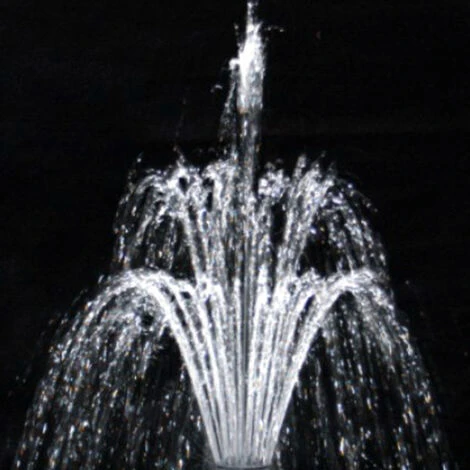 SunSun CHJ-3003 ECO Pompa Per Fontane 3.000 L/h 55W, Con Spugna Filtrante 5 SunSun CHJ-3003 ECO Pompa Per Fontane 3.000 L/h 55W, Con Spugna Filtrante - immagine 5