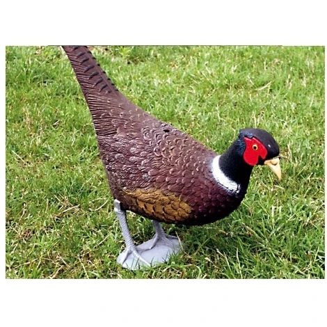 Decorazioni Animali Fagiano 869 1 Decorazioni Animali Fagiano 869