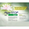 Antialghe Laghetto Sakura Algae STOP Liquid 1.000 Ml
