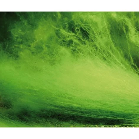 Antialghe Laghetto Sakura Algae STOP Powder 5 Kg 2 Antialghe Laghetto Sakura Algae STOP Powder 5 Kg - immagine 2