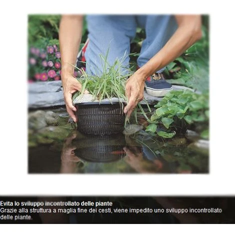 Multipack Da 5 Cesti Per Piante Acquatiche Rotondi Dimensioni 12,5 Cm Cadauno 2 Multipack Da 5 Cesti Per Piante Acquatiche Rotondi Dimensioni 12,5 Cm Cadauno - immagine 2