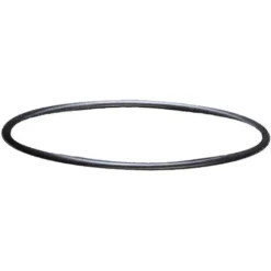 Sera Ricambio Guarnizione Testata Per Filtro Sera Fil Bioactive 130