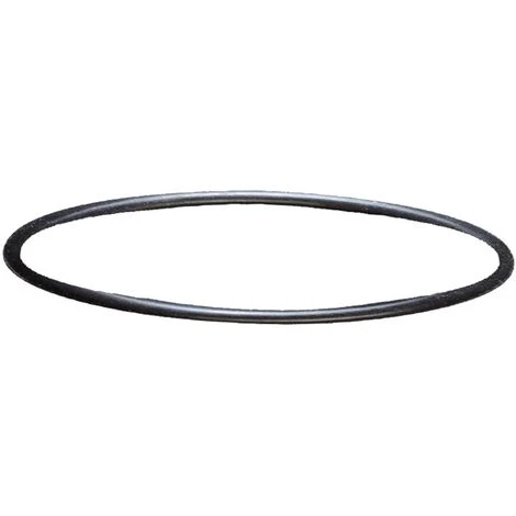 Sera Ricambio Guarnizione Testata Per Filtro Sera Fil Bioactive 130 1 Sera Ricambio Guarnizione Testata Per Filtro Sera Fil Bioactive 130