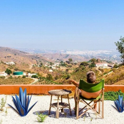 MINKUROW Tequila Scultura Rustico Blu Metallo Agave Cortile Arte Grande Rustico Dipinto A Mano Metallo Agave Cortile Decorazione Artistica Statua Decorazioni Per La Casa Per Pali Da Giardino,Darkblue- 2 MINKUROW Tequila Scultura Rustico Blu Metallo Agave Cortile Arte Grande Rustico Dipinto A Mano Metallo Agave Cortile Decorazione Artistica Statua Decorazioni Per La Casa Per Pali Da Giardino,Darkblue- - immagine 2