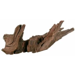 Zolux Radice Naturale Mangrovia 40/60 Cm -OUTSUN Giardino Negozio 89358540 3