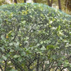 VIDAXL Set Di Reti Antiuccello 5 Pz 4x10 M Pe 6 VIDAXL Set Di Reti Antiuccello 5 Pz 4x10 M Pe -OUTSUN Giardino Negozio 90939833 3