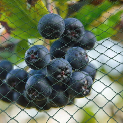 Randaco Rete Da Giardino Rete Anti Uccelli Verde Rete Di Protezione Proteggere Piante Frutta Fiori Alberi Allontana Gli Animali Rete A Maglia 2x5M 1 Randaco Rete Da Giardino Rete Anti Uccelli Verde Rete Di Protezione Proteggere Piante Frutta Fiori Alberi Allontana Gli Animali Rete A Maglia 2x5M