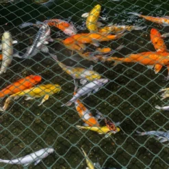 Randaco Rete Da Giardino Rete Anti Uccelli Verde Rete Di Protezione Proteggere Piante Frutta Fiori Alberi Allontana Gli Animali Rete A Maglia 2x5M 8 Randaco Rete Da Giardino Rete Anti Uccelli Verde Rete Di Protezione Proteggere Piante Frutta Fiori Alberi Allontana Gli Animali Rete A Maglia 2x5M -OUTSUN Giardino Negozio 93288761 4