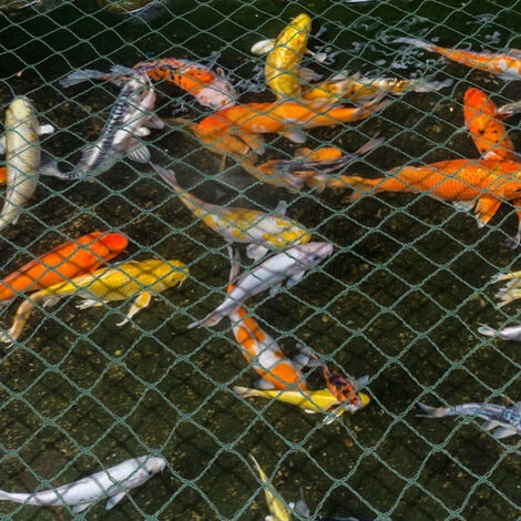 Randaco Rete Da Giardino Rete Anti Uccelli Verde Rete Di Protezione Proteggere Piante Frutta Fiori Alberi Allontana Gli Animali Rete A Maglia 2x5M 4 Randaco Rete Da Giardino Rete Anti Uccelli Verde Rete Di Protezione Proteggere Piante Frutta Fiori Alberi Allontana Gli Animali Rete A Maglia 2x5M - immagine 4