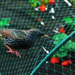 Randaco Rete Da Giardino Rete Anti Uccelli Verde Rete Di Protezione Proteggere Piante Frutta Fiori Alberi Allontana Gli Animali Rete A Maglia 2x5M 9 Randaco Rete Da Giardino Rete Anti Uccelli Verde Rete Di Protezione Proteggere Piante Frutta Fiori Alberi Allontana Gli Animali Rete A Maglia 2x5M -OUTSUN Giardino Negozio 93288761 5