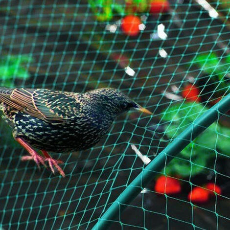 Randaco Rete Da Giardino Rete Anti Uccelli Verde Rete Di Protezione Proteggere Piante Frutta Fiori Alberi Allontana Gli Animali Rete A Maglia 2x5M 5 Randaco Rete Da Giardino Rete Anti Uccelli Verde Rete Di Protezione Proteggere Piante Frutta Fiori Alberi Allontana Gli Animali Rete A Maglia 2x5M - immagine 5