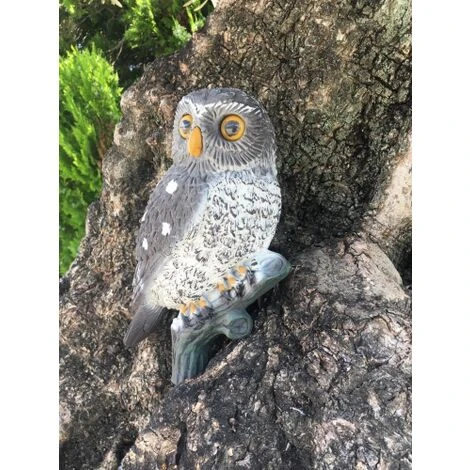 Civetta Posata Gufo Uccello In Plastica, Ornamenti Per Giardino E Laghetto 2 Civetta Posata Gufo Uccello In Plastica, Ornamenti Per Giardino E Laghetto - immagine 2