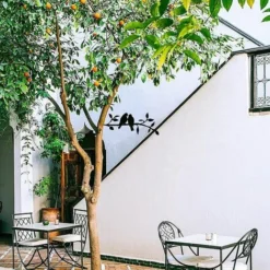 Uccelli Sul Ramo 30x12,5 Cm Decorazione Della Parete Di Arte Del Metallo Uccello Di Ferro Scultura Da Parete In Metallo Uccello Casa Giardino Decorazione Della Parete Di Arte All'aperto -OUTSUN Giardino Negozio 98134231 3