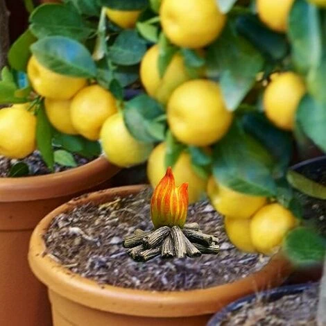 Gnomo Da Giardino Statua Mini Gnomo Da Giardino In Resina Umorismo Decorazioni Per Esterni Per Pala Meraviglioso Ornamento Regalo 3 Gnomo Da Giardino Statua Mini Gnomo Da Giardino In Resina Umorismo Decorazioni Per Esterni Per Pala Meraviglioso Ornamento Regalo - immagine 3