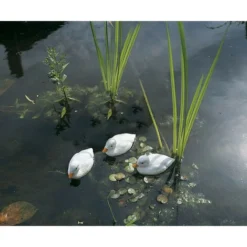 Polena Bianco Anatroccoli 9 Centimetri Ubbink